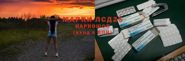 прущие грибы Медногорск