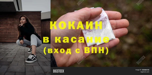 прущие грибы Медногорск