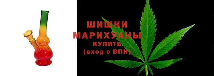 прущие грибы Медногорск