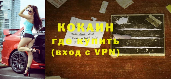 прущие грибы Медногорск
