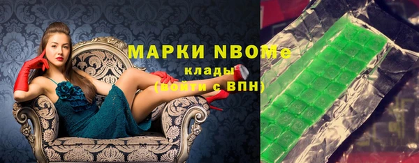 прущие грибы Медногорск