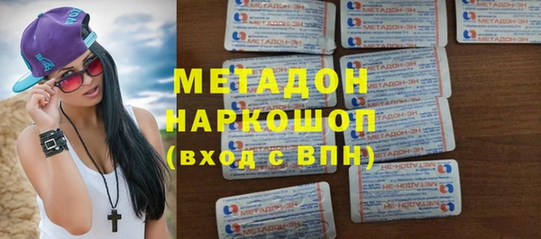 прущие грибы Медногорск