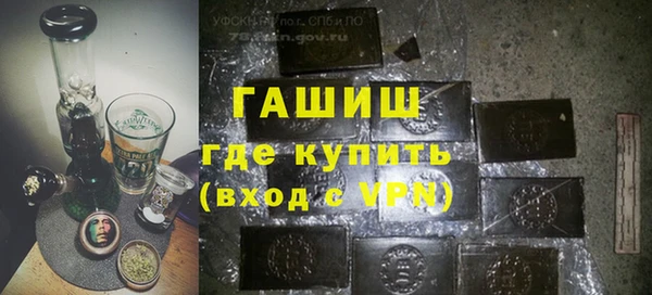 прущие грибы Медногорск