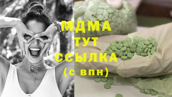 прущие грибы Медногорск