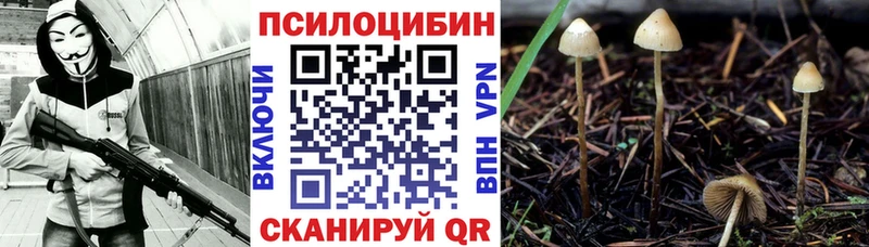 Псилоцибиновые грибы прущие грибы  Арзамас 