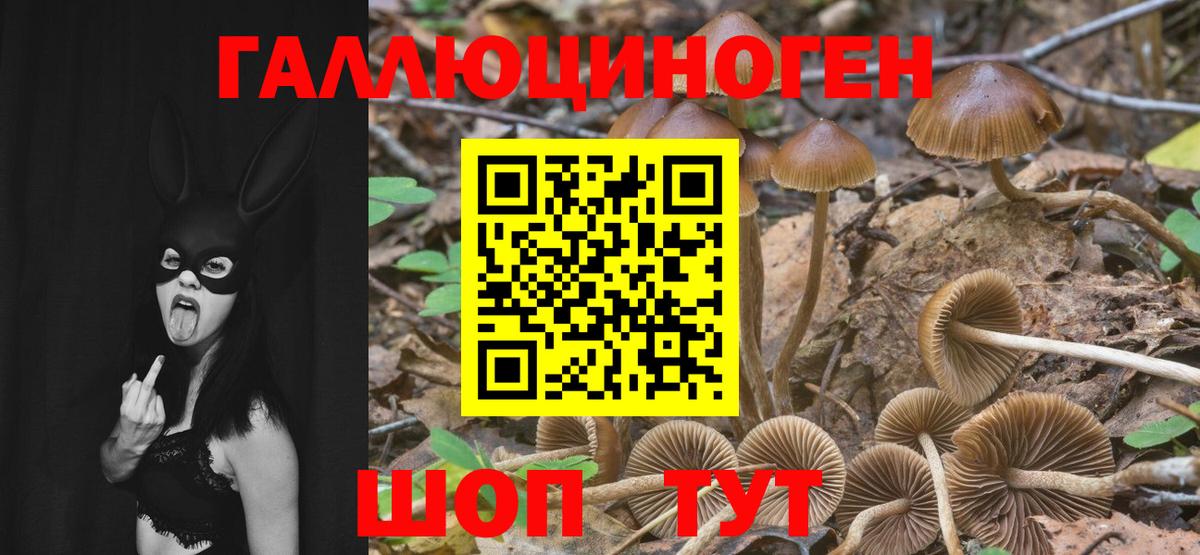 Арзамас  Псилоцибиновые грибы ЛСД  Галлюциногенные грибы Psilocybe  Вход с VPN 